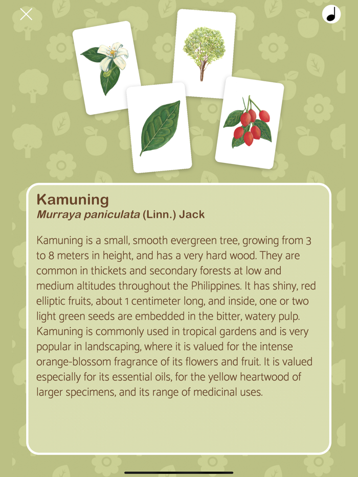 ForesTree Philippine Tree Game