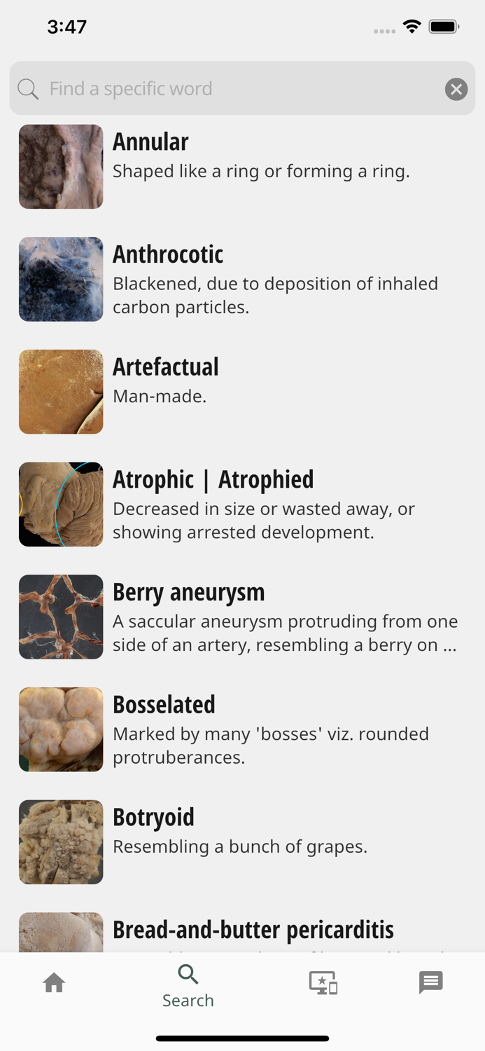 Pathology Lexicon A-Z