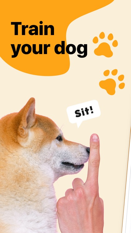 Dog at Home: Puppy Training