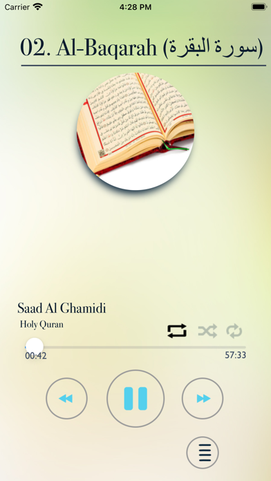 Saad Ghamidi Full Quran 2021 Screenshot