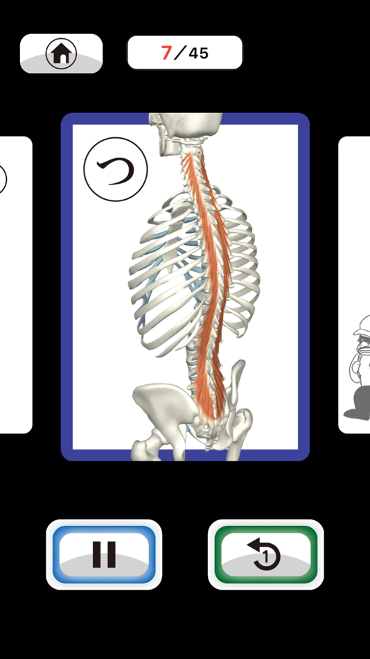 #3. 筋肉かるた (iOS) By: RoundFlat, Inc.