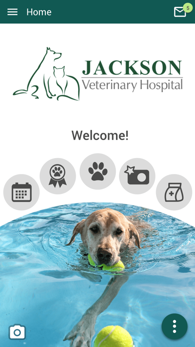 How to cancel & delete Jackson Vet Hospital from iphone & ipad 1