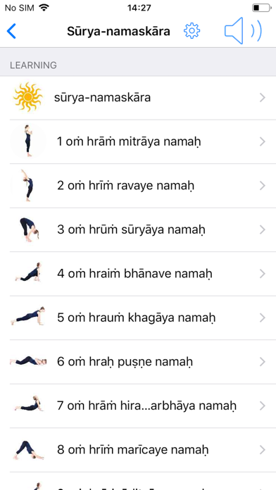 Sanskrit for Yoga Screenshot