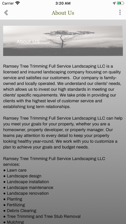 Ramsey Tree and Landscape