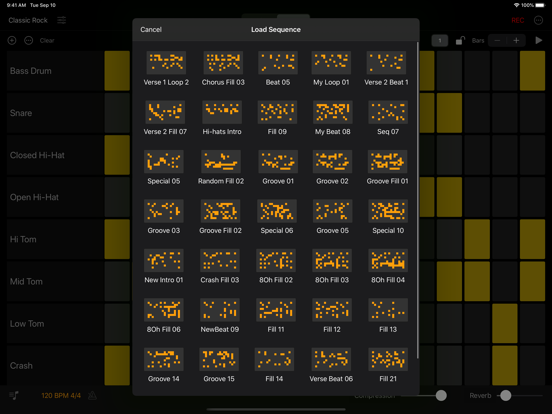 Rhythm Pad Pro iPad app afbeelding 3