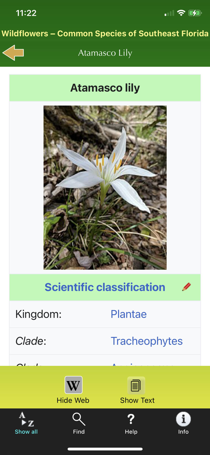 Southern Florida Wildflowers