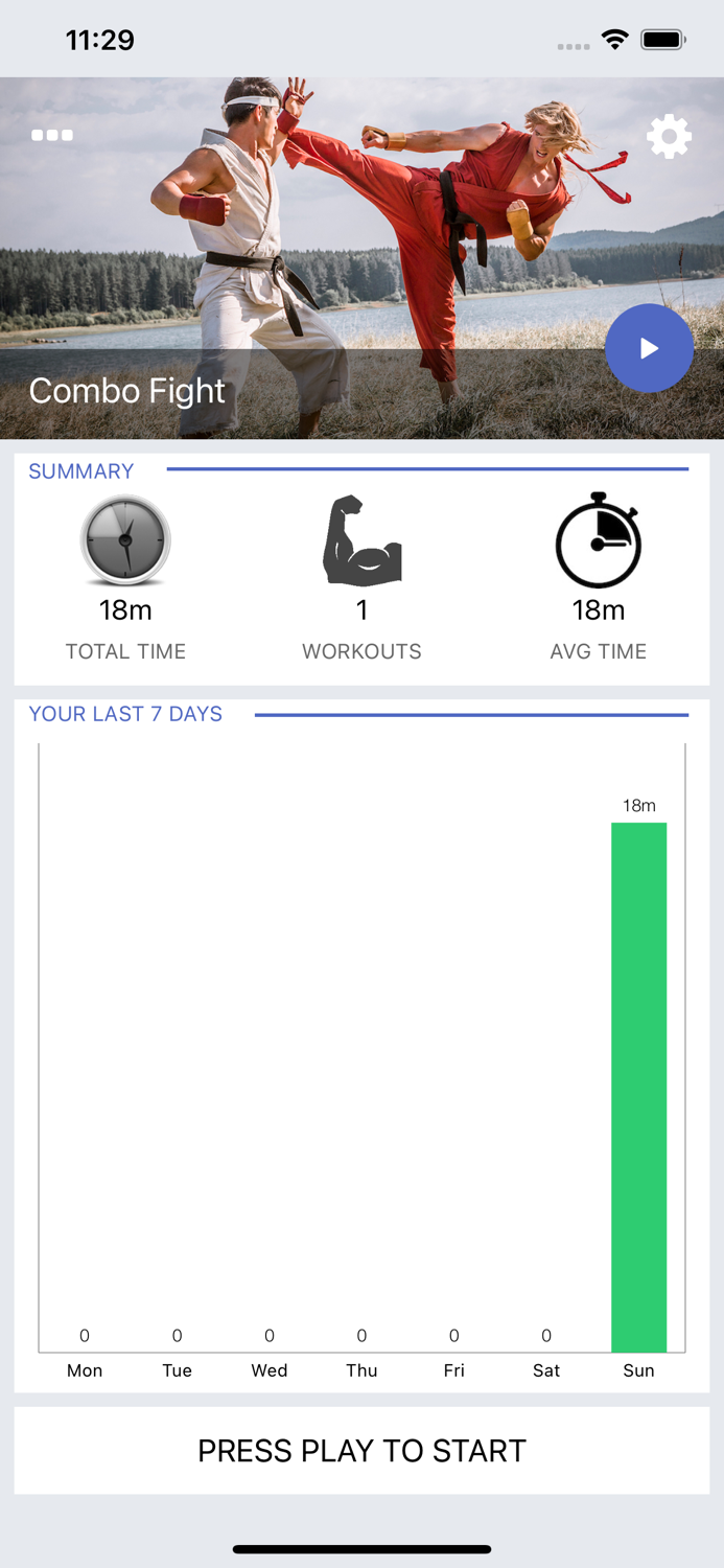 Karate Combo Fighting Workout