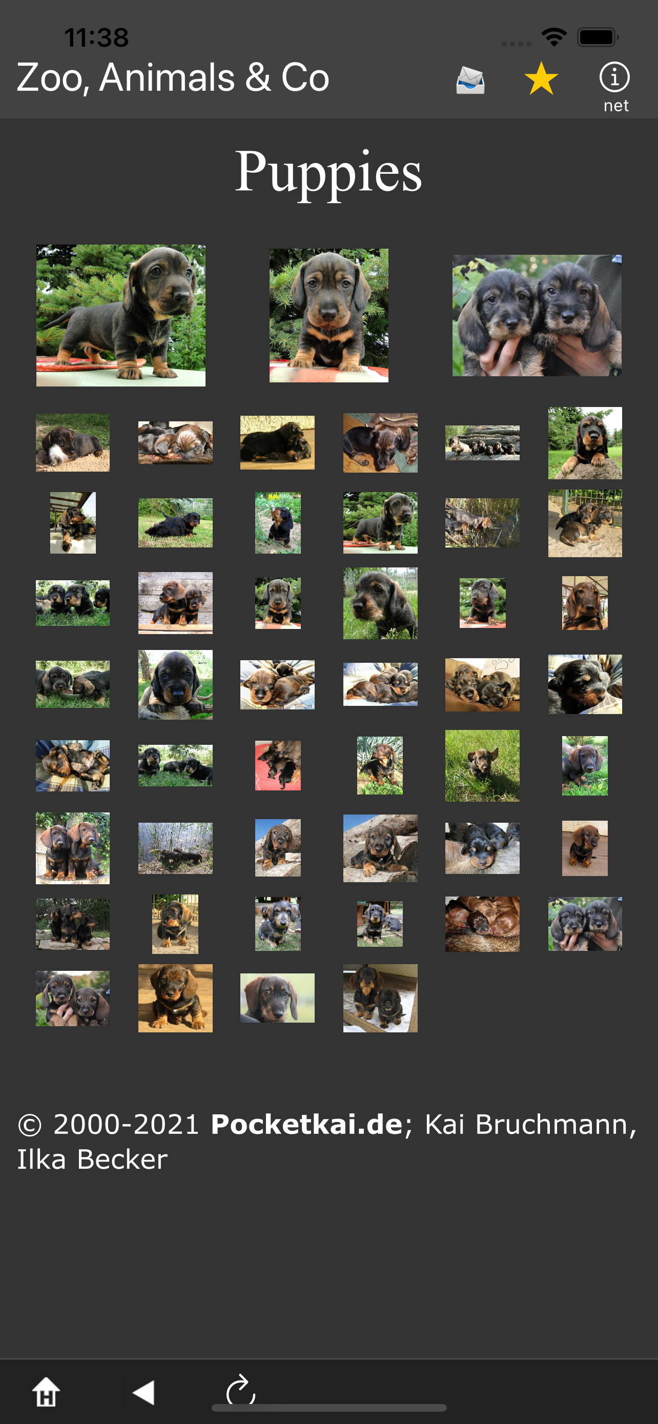 Zoo, Tiere & Co