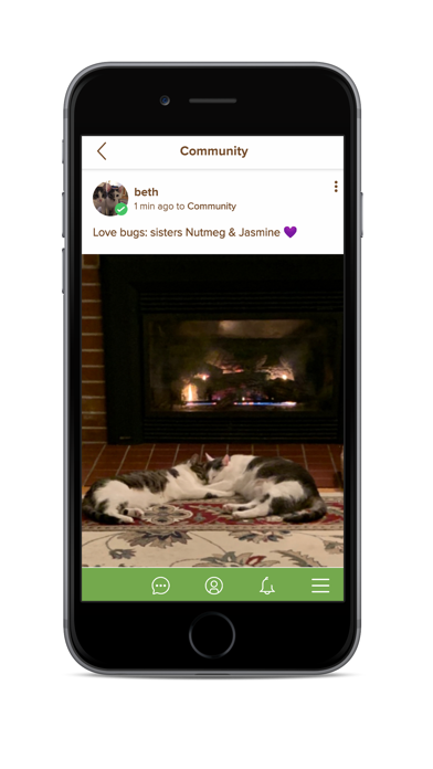 Social Petwork Screenshot
