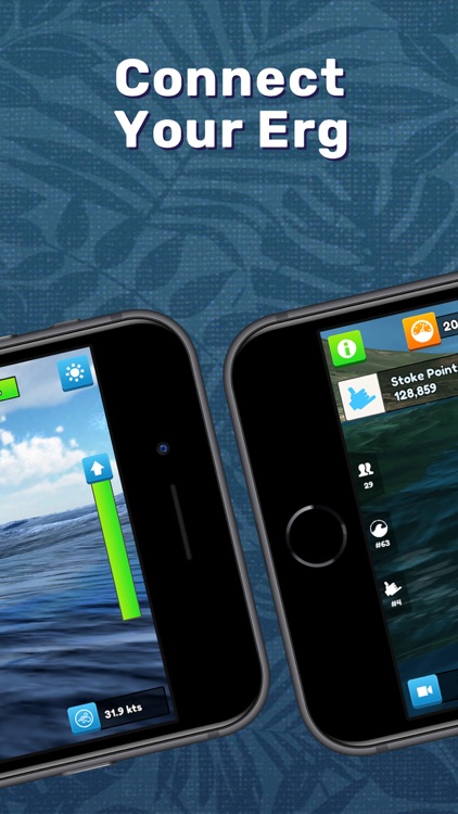 Swelldone - Virtual Row+Paddle