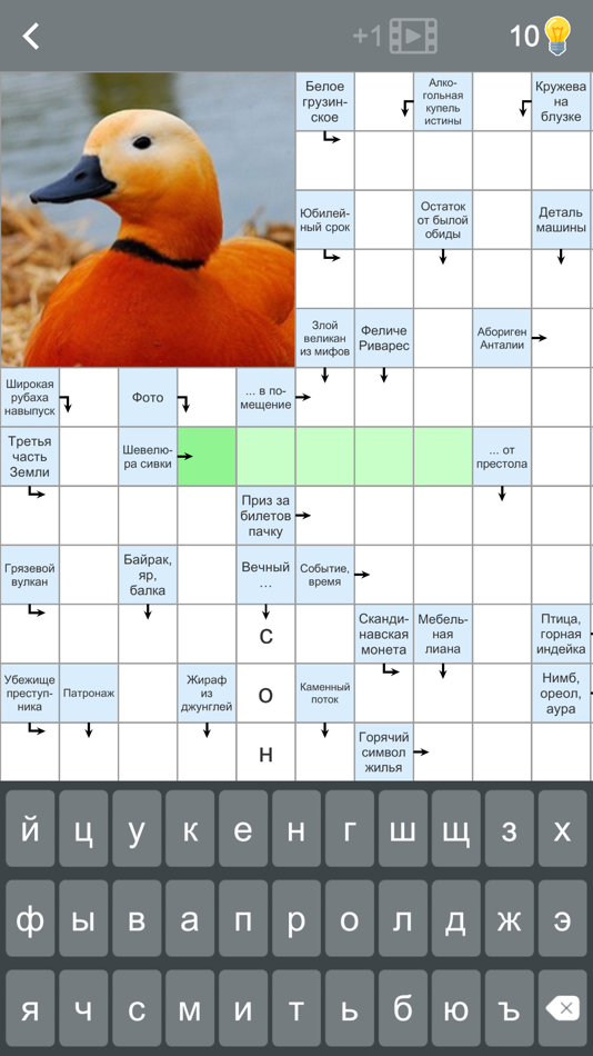 Сканворды РУ - 1.2 - (iOS)
