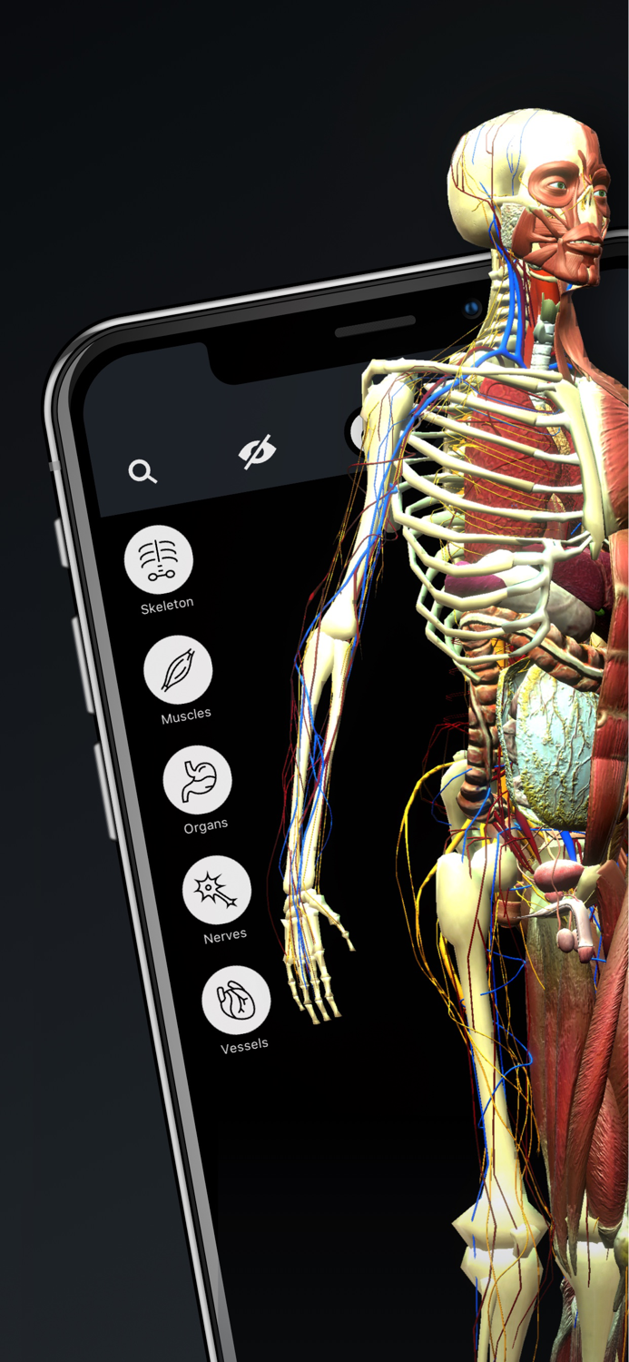 Human Body Atlas 3D Medical