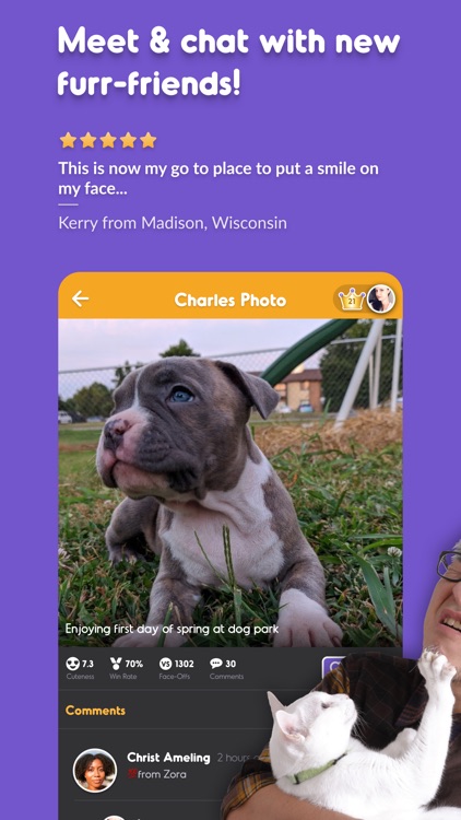 Pet Parade Cutest Dogs vs Cats screenshot-4