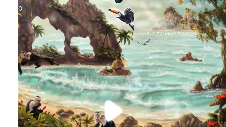 3D Illusions & Nature Sounds