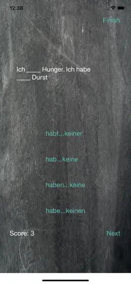 Game screenshot German Sentence Quizzer apk