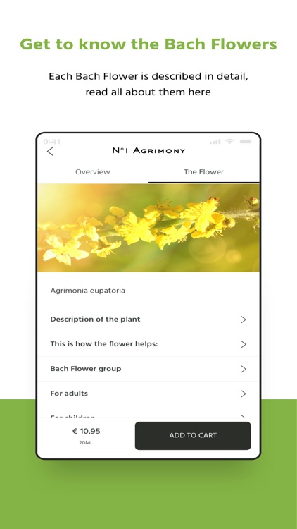 Bach Flower Self-test screenshot-3