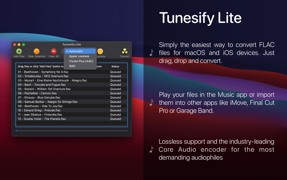 Tunesify Lite (macOS) 由: Andrew Heard