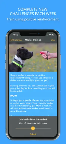 Game screenshot Social Puppy: Dog Training App apk