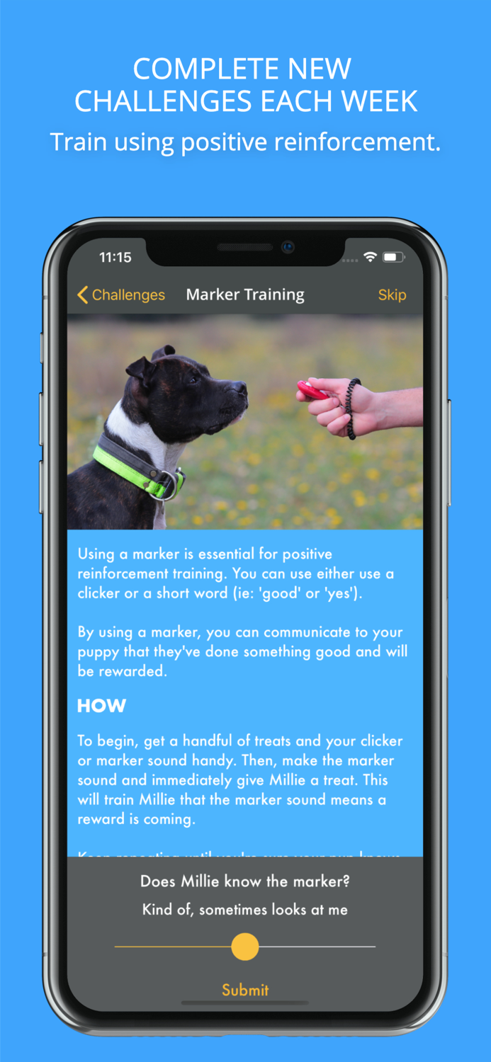 Social Puppy Dog Training App