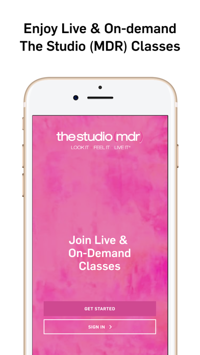 The Studio (MDR) Virtual Screenshot