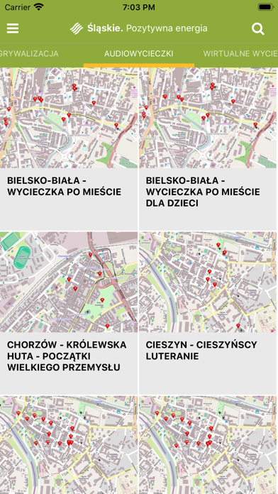 slaskie.travel Screenshot
