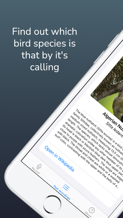 Bird Sound Identifier Screenshot
