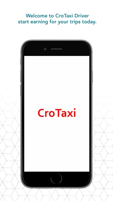 CroTaxi Driver Screenshot