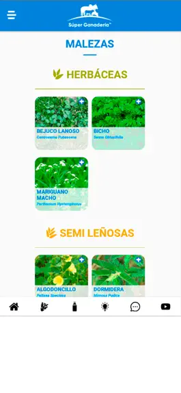 Game screenshot Súper Ganadería apk