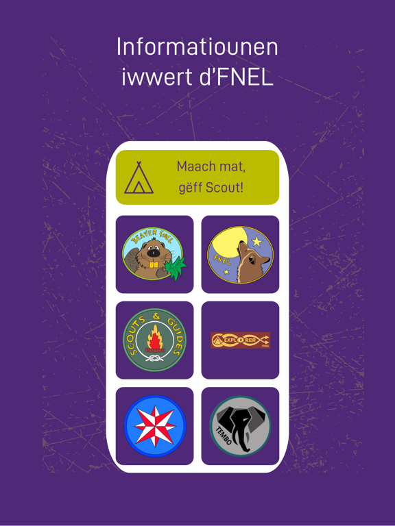 Screenshot #4 pour FNEL