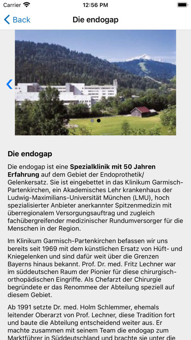 endogApp Screenshot