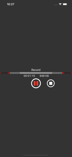 ‎You Record Pro Screenshot