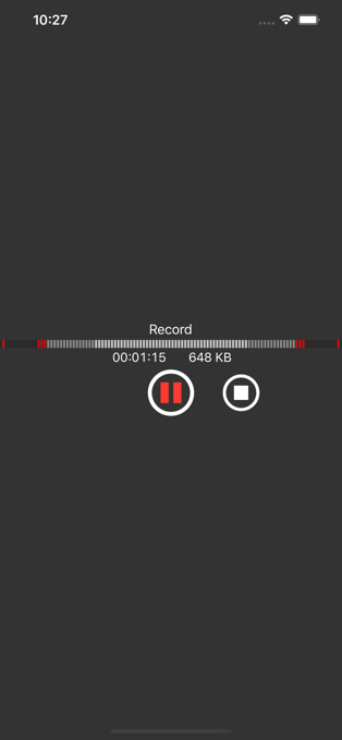 You Record Pro