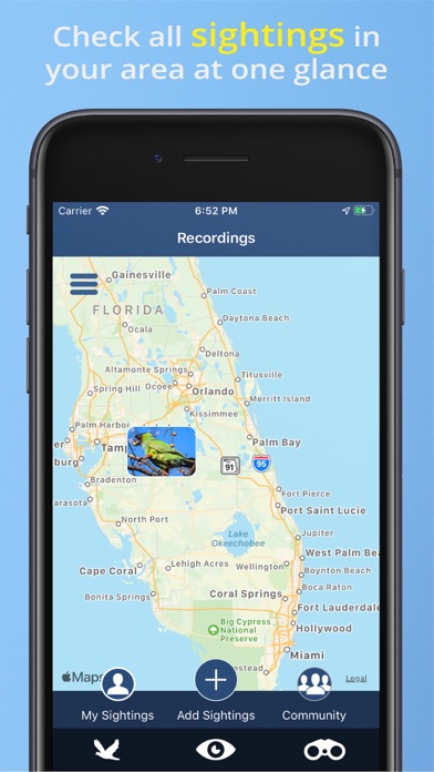 Bird Id USA - backyard birds Screenshot