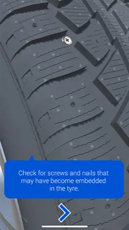 Game screenshot Tyresafe Checker apk