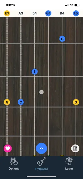Game screenshot Fretty - All chords & scales. mod apk