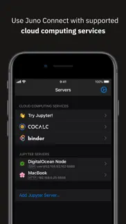 juno connect: jupyter client iphone screenshot 4