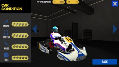 Kart Kraft -Street Racing Tour Screenshot