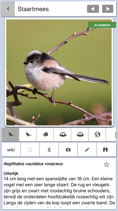 Screenshot #1 pour Vogels in Nederland Pro