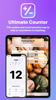 the ultimate counter iphone screenshot 1