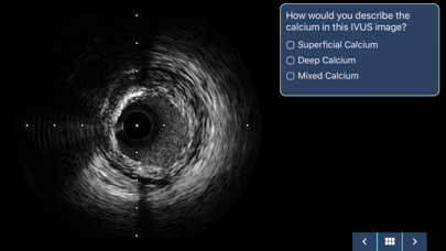 IVUS + Physiology Pro Screenshot