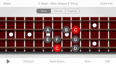 Scales For Bass Guitar Screenshot