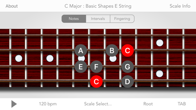 Scales For Bass Guitarのおすすめ画像1