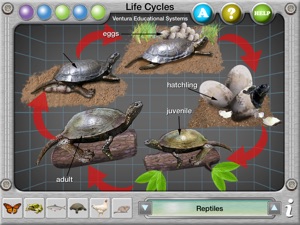 Interactive Life Cycles screenshot #4 for iPad