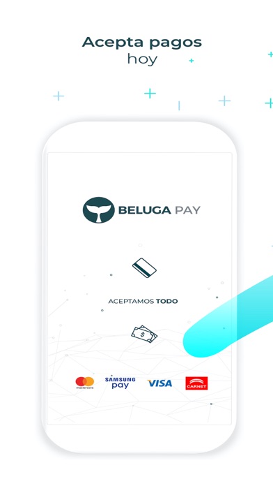 Beluga Pay Screenshot
