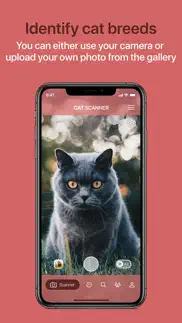 cat scanner iphone screenshot 1