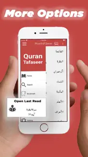 quran tafaseer in english problems & solutions and troubleshooting guide - 1