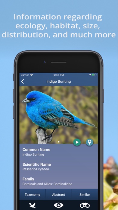 Bird Id USA - backyard birds Screenshot