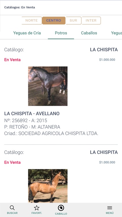 Caballo Chileno screenshot-4