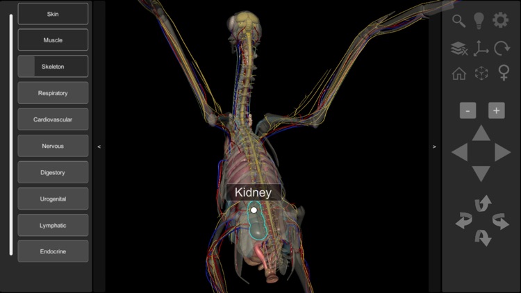 3D Bird Anatomy screenshot-5