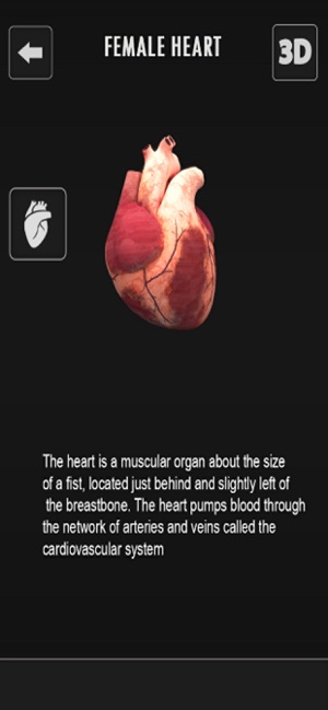 Female Anatomy 3D Visualizer(圖2)-速報App